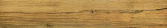 Warm Honey 6X36 | Marino Tile NY