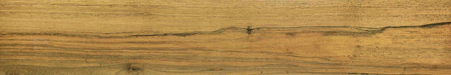 Warm Honey 6X36 | Marino Tile NY