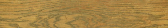 Warm Honey 6X36 | Marino Tile NY