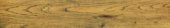 Warm Honey 6X36 | Marino Tile NY