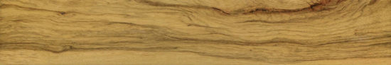 Warm Honey 6X36 | Marino Tile NY