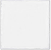 Whitehall Bianco 8x8F | Marino Tile NY