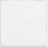 Whitehall Bianco 8x8F | Marino Tile NY