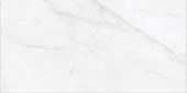 Altezza 12x24 Carrara | World Tile Company