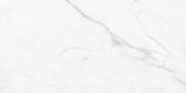 Altezza 12x24 Carrara | World Tile Company