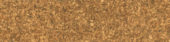 Cork Click Pico | World Tile Company