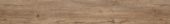 Hydrofix Oak St. Gallen | World Tile Company