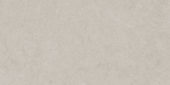 Lithoform 12X24 Crosscut Coast | World Tile Company