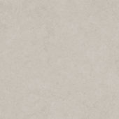 Lithoform 24X24 Crosscut Coast | World Tile Company