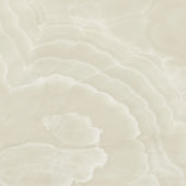 Lustra 48x48 Onyx Crema Polished | World Tile Company