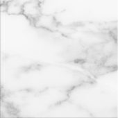 Obsession 10x10 Carrara | World Tile Company