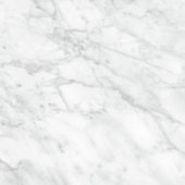Plata 24x24 Carrara Abisso Matte | World Tile Company