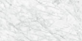 Plata 24x48 Carrara Abisso Polished | World Tile Company