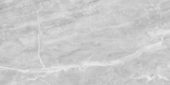 Plata 24x48 Perla Grigia Matte | World Tile Company
