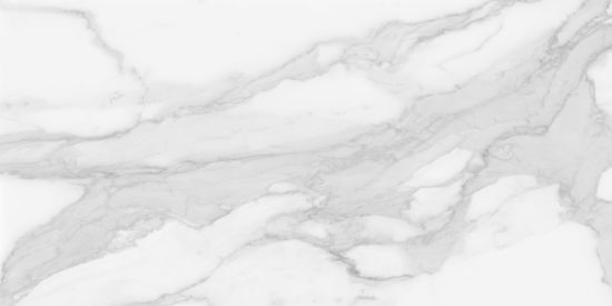Plata 24×48 Statuario Brina Matte