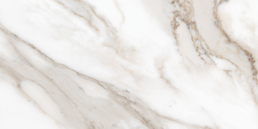 Royal Stoneworks 12X24 Calacatta Royale Polished | World Tile Company