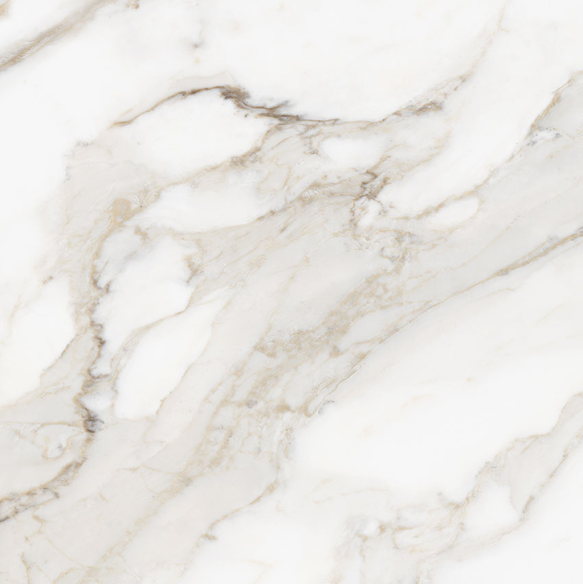 Royal Stoneworks 24X24 Calacatta Royale Polished | World Tile Company