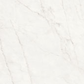 Royal Stoneworks 24X24 Cloudstone Whitehoned | World Tile Company