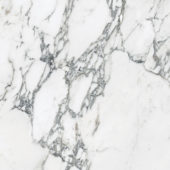 Royal Stoneworks 24X24 Italian Arabescato Honed | World Tile Company