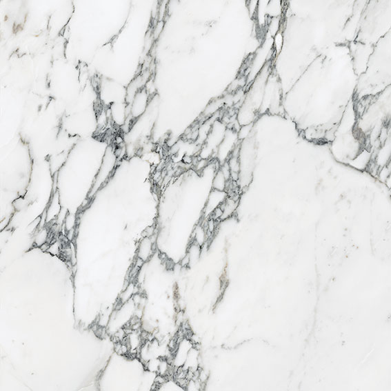 Royal Stoneworks 24X24 Italian Arabescato Polished | World Tile Company