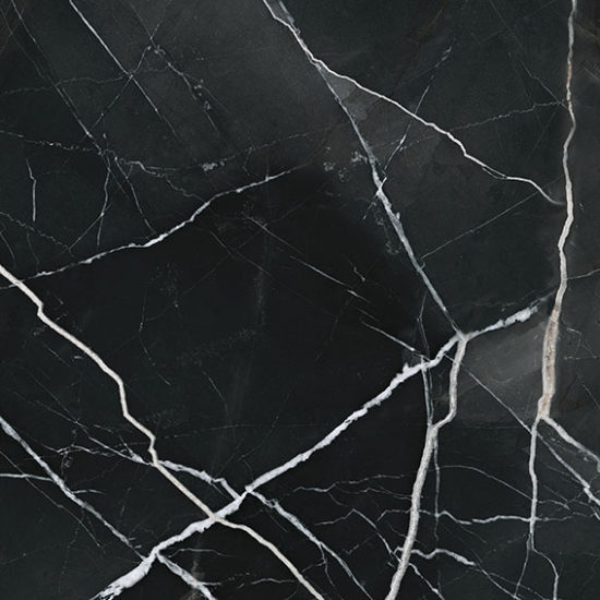 Royal Stoneworks 24X24 Regal Black Vein Honed | World Tile Company
