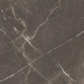 Royal Stoneworks 24X24 Regal Brown Marble Honed | World Tile Company