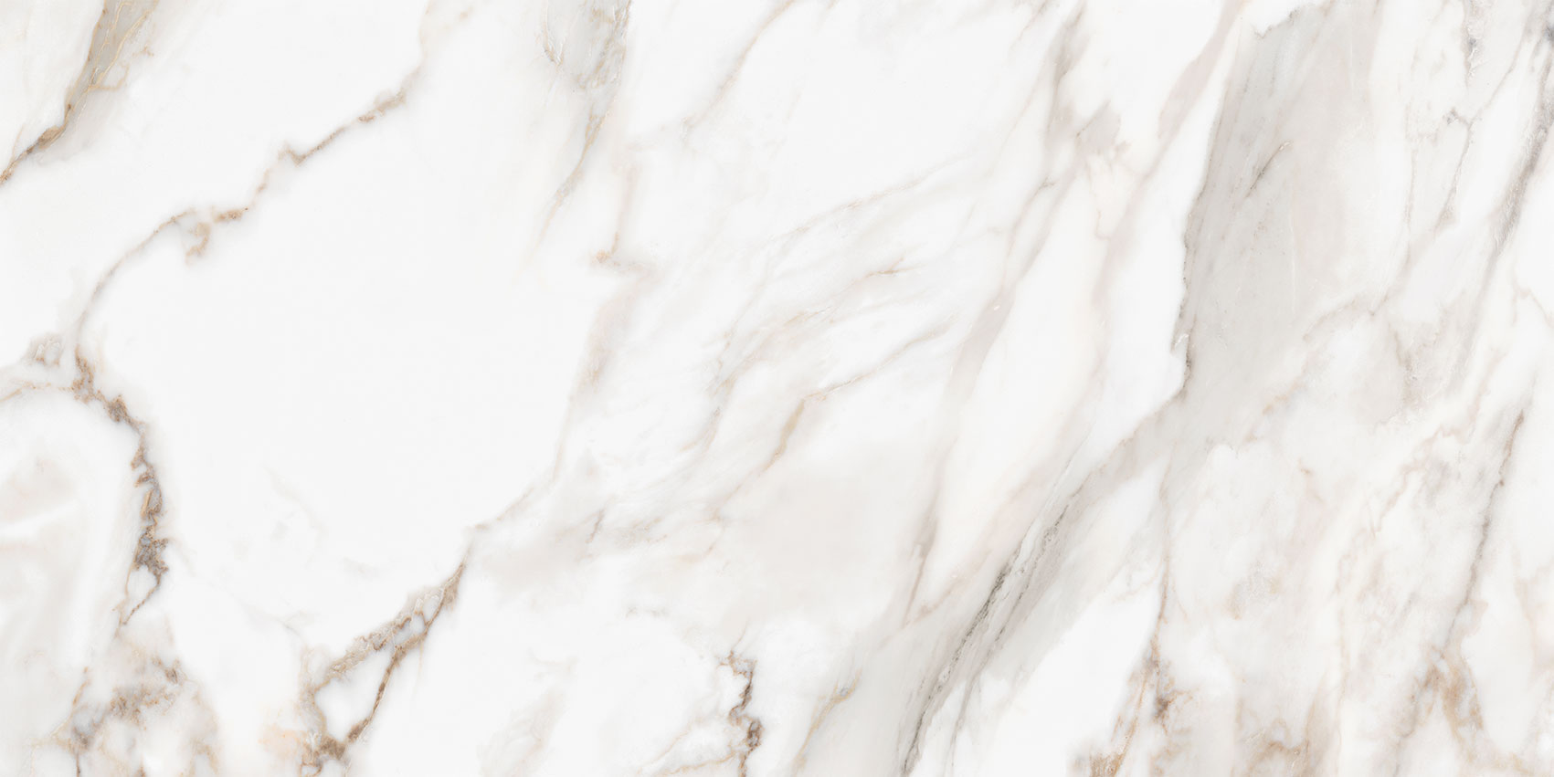 Royal Stoneworks 24X48 Calacatta Royale Honed | World Tile Company
