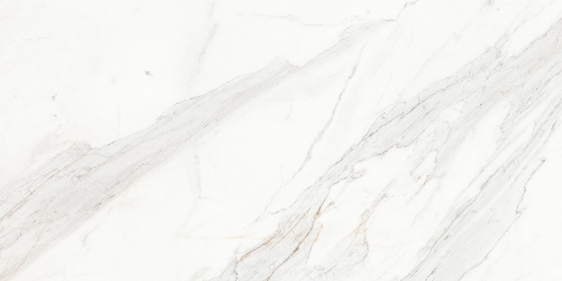 Royal Stoneworks 24X48 Crown Calacatta Honed | World Tile Company