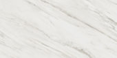 Royal Stoneworks 24X48 Italian Cream Vein Honed | World Tile Company