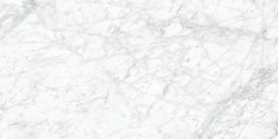 Royal Stoneworks 24X48 Old World Bianco Polished