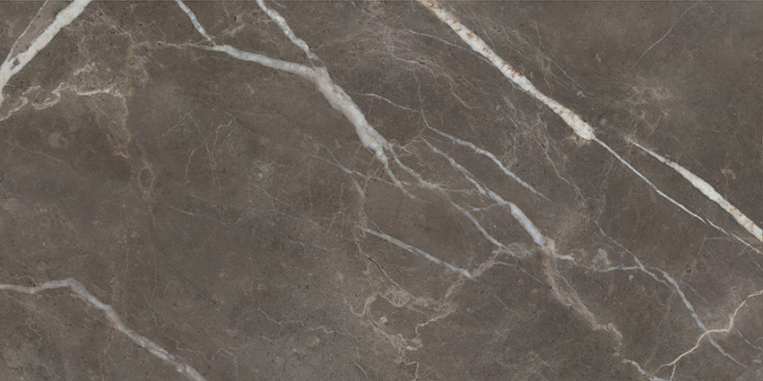Royal Stoneworks 24X48 Regal Brown Marble Vintage | World Tile Company
