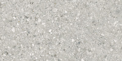 Royal Stoneworks 24X48 Regal Fossil Vein Org