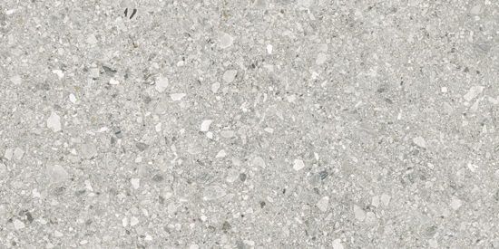 Royal Stoneworks 24X48 Regal Fossil Vein Org | World Tile Company