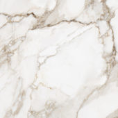 Royal Stoneworks 36X36 Calacatta Royale Honed | World Tile Company
