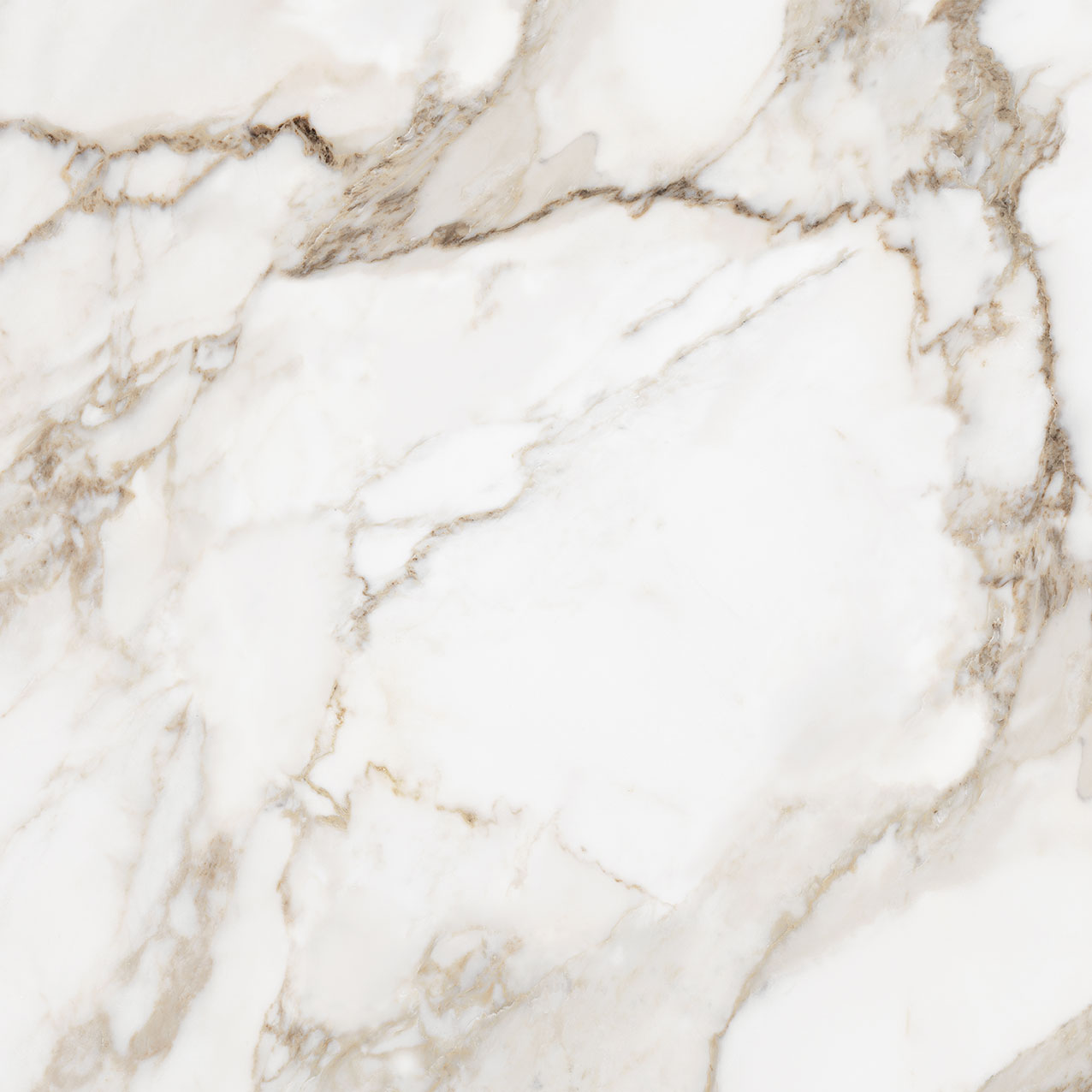 Royal Stoneworks 36X36 Calacatta Royale Polished | World Tile Company