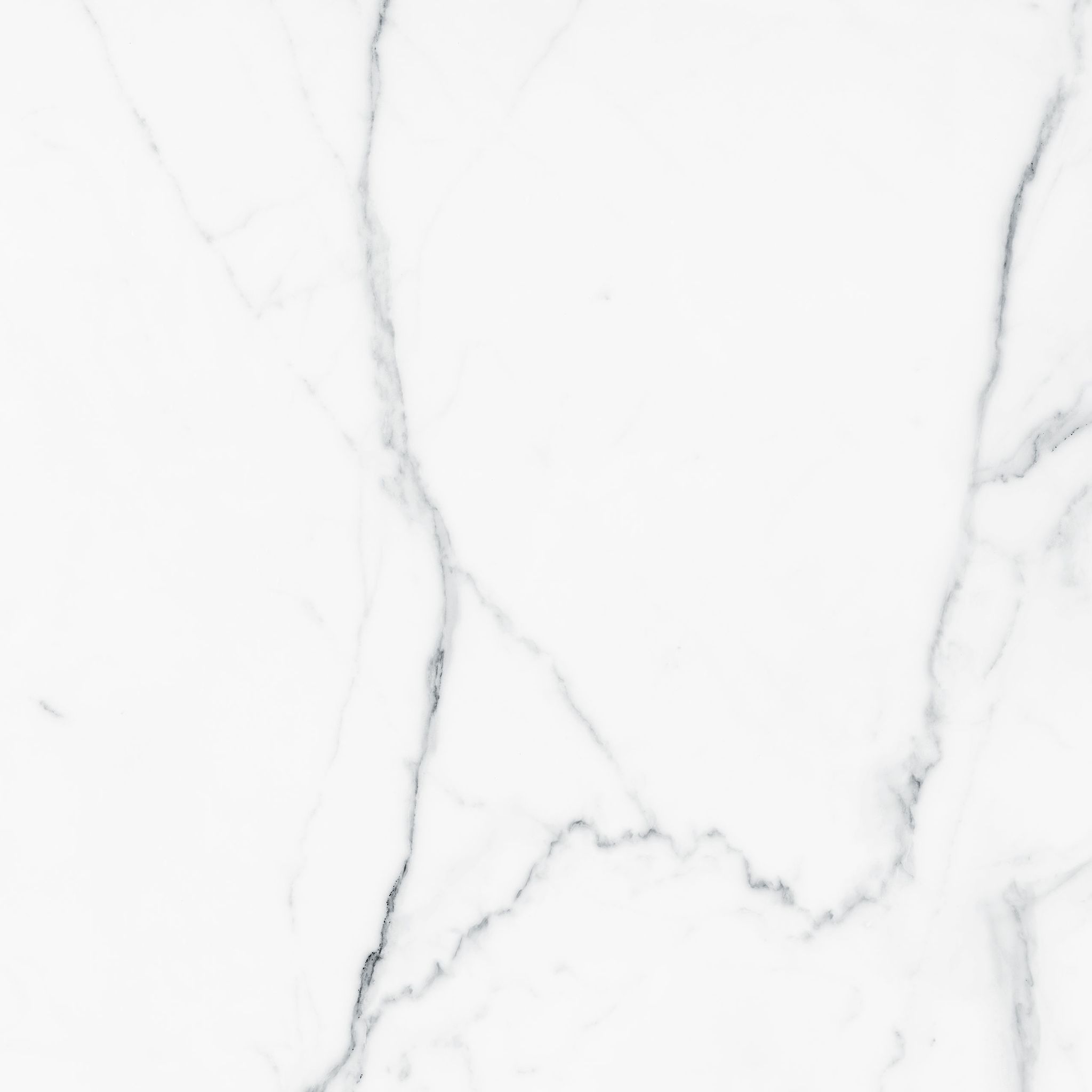 Royal Stoneworks 36X36 Grandvein White Honed | World Tile Company