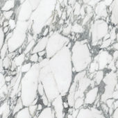 Royal Stoneworks 36X36 Italian Arabescato Honed | World Tile Company