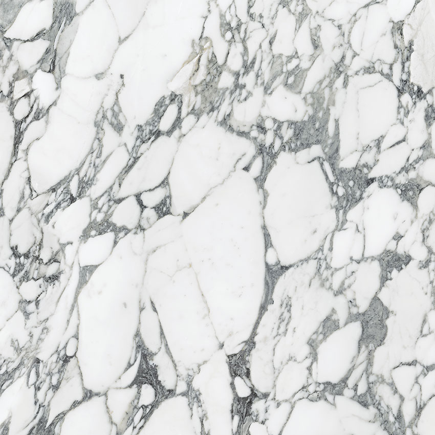 Royal Stoneworks 36X36 Italian Arabescato Polished | World Tile Company