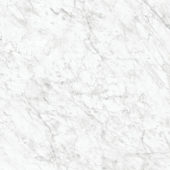 Royal Stoneworks 36X36 Old World Bianco Honed | World Tile Company
