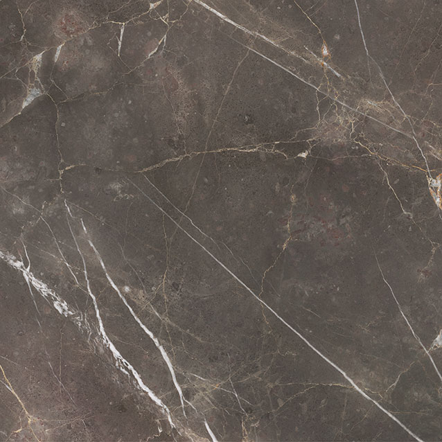 Royal Stoneworks 36X36 Regal Brown Marble Polished | World Tile Company