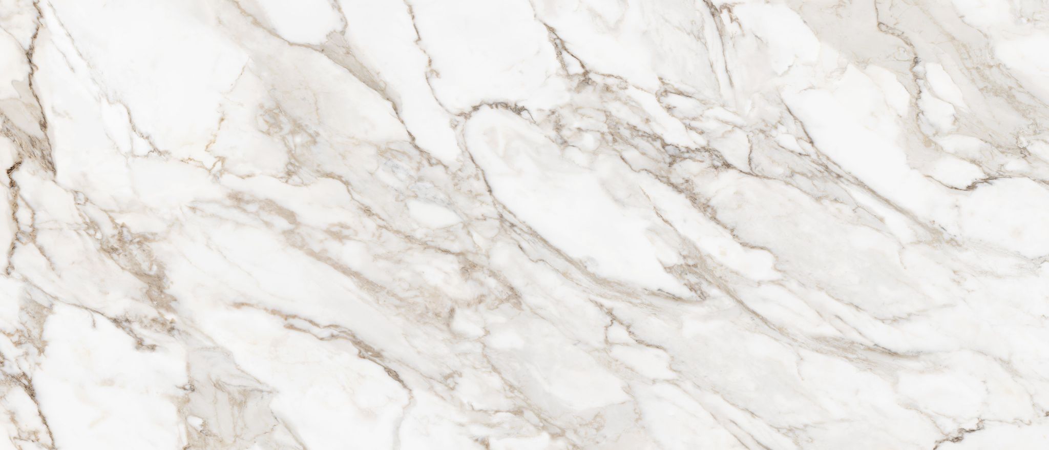 Royal Stoneworks 48X110 Calacatta Royale Polished | World Tile Company