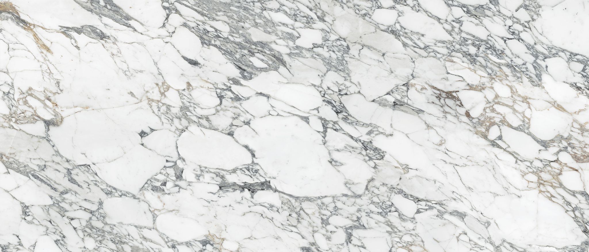 Royal Stoneworks 48X110 Italian Arabescato Honed | World Tile Company
