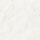 Royal Stoneworks 48X48 Cloudstone White Honed | World Tile Company