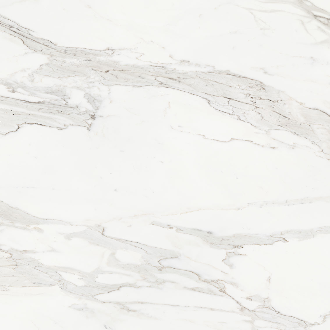 Royal Stoneworks 48X48 Crown Calacatta Honed | World Tile Company