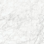 Royal Stoneworks 48X48 Old World Bianco Honed | World Tile Company