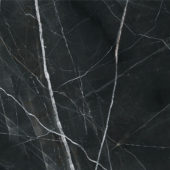 Royal Stoneworks 48X48 Regal Black Vein Polished | World Tile Company