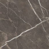 Royal Stoneworks 48X48 Regal Brown Marble Honed | World Tile Company