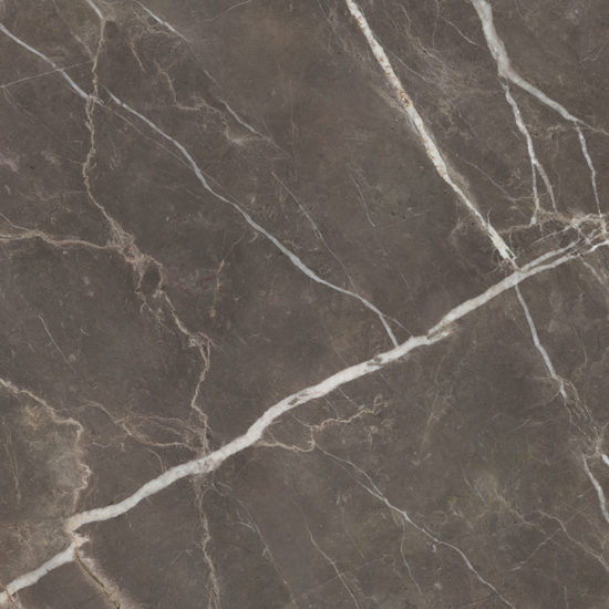 Royal Stoneworks 48X48 Regal Brown Marble Honed | World Tile Company