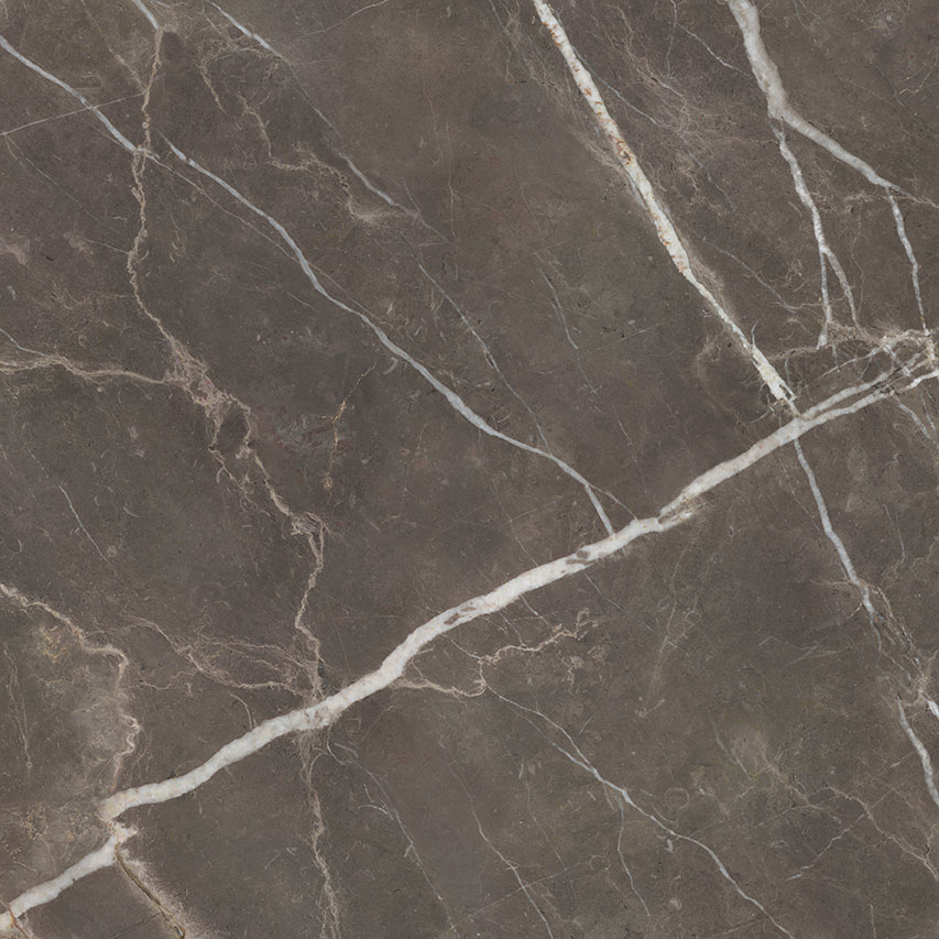 Royal Stoneworks 48X48 Regal Brown Marble Polished | World Tile Company