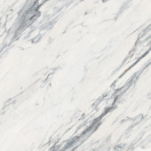Royal Stoneworks 48X48 Regal White Vein Polished | World Tile Company